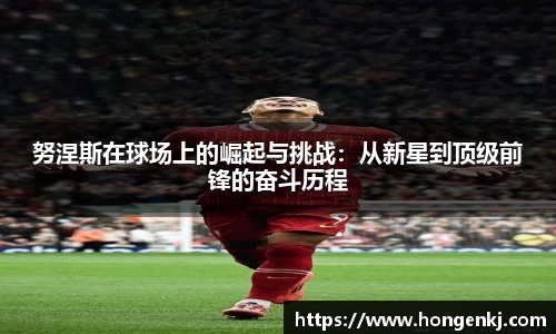 完美体育