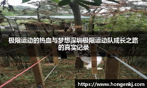 完美体育在线入口官网